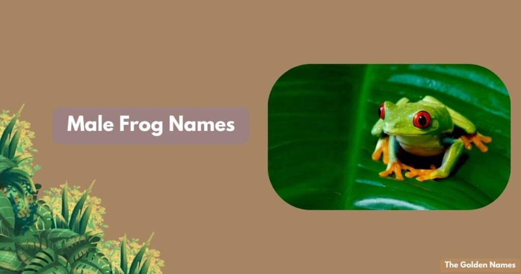 Male Frog Names