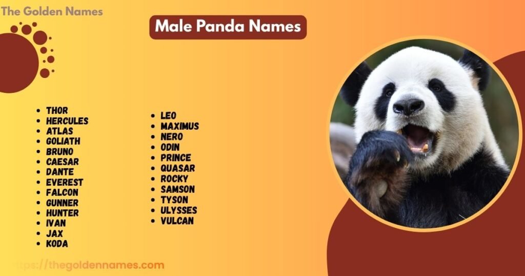 Male Panda Names