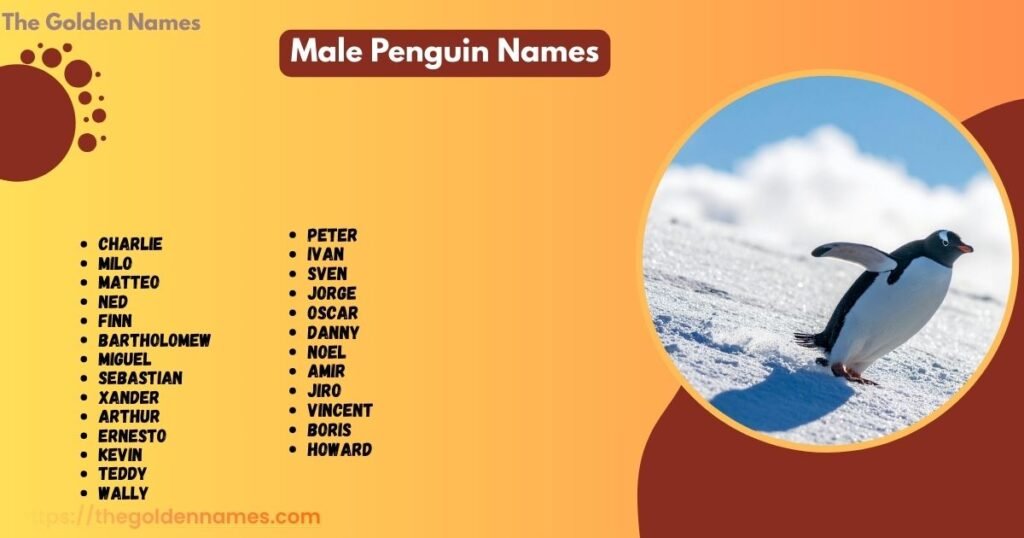 Male Penguin Names