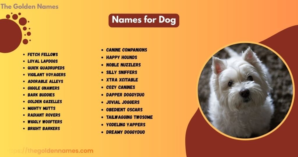 Names for Dog