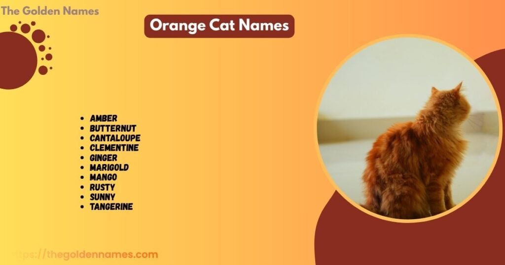 Orange Cat Names