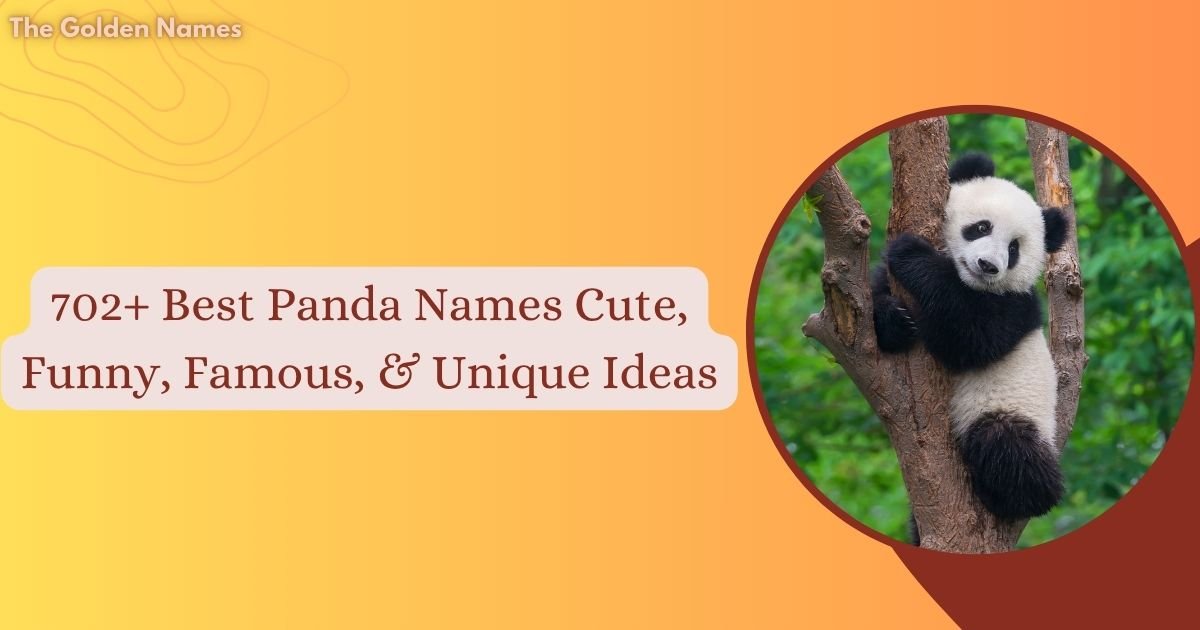 Panda Names
