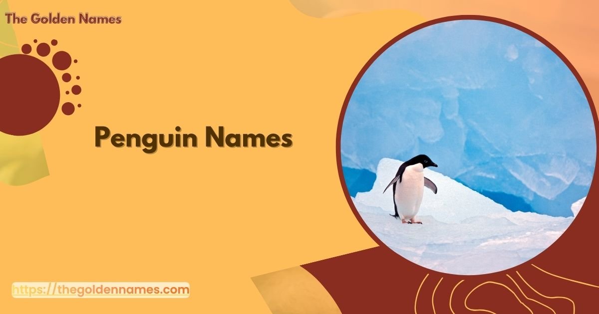 Penguin Names