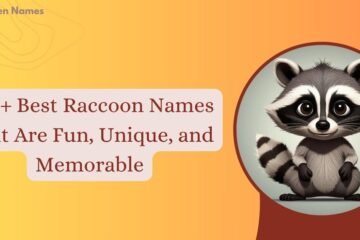 Raccoon Names
