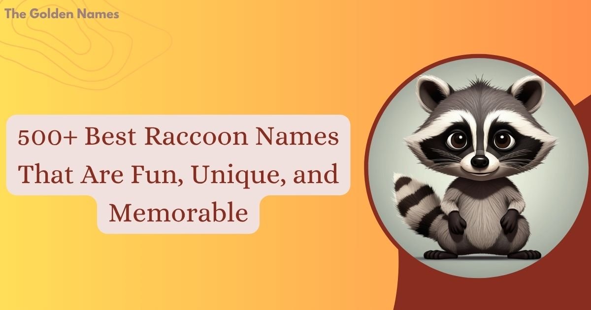 Raccoon Names