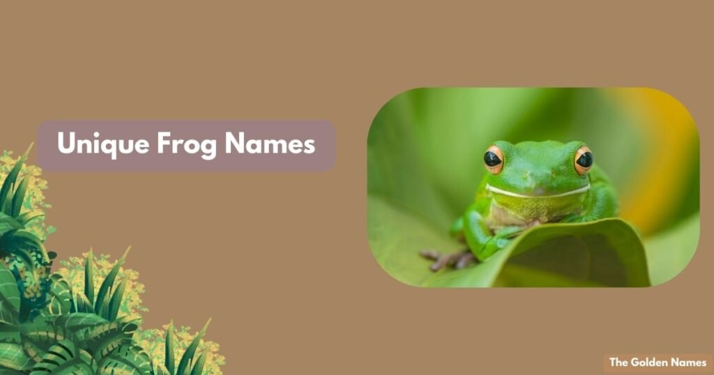 Unique Frog Names