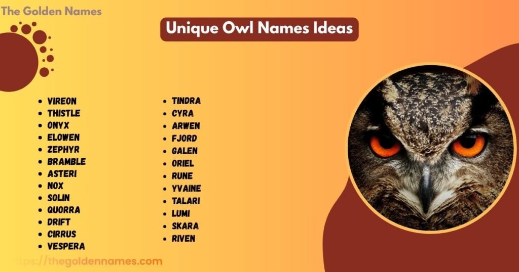 Unique Owl Names Ideas
