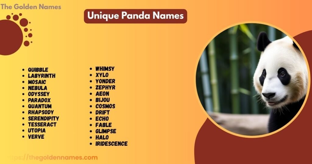 Unique Panda Names