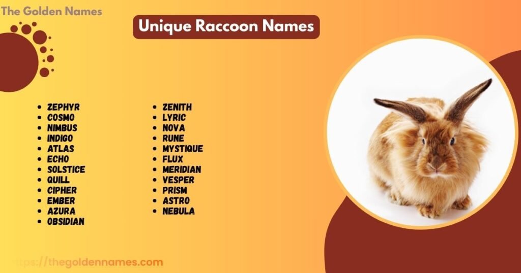 Unique Raccoon Names