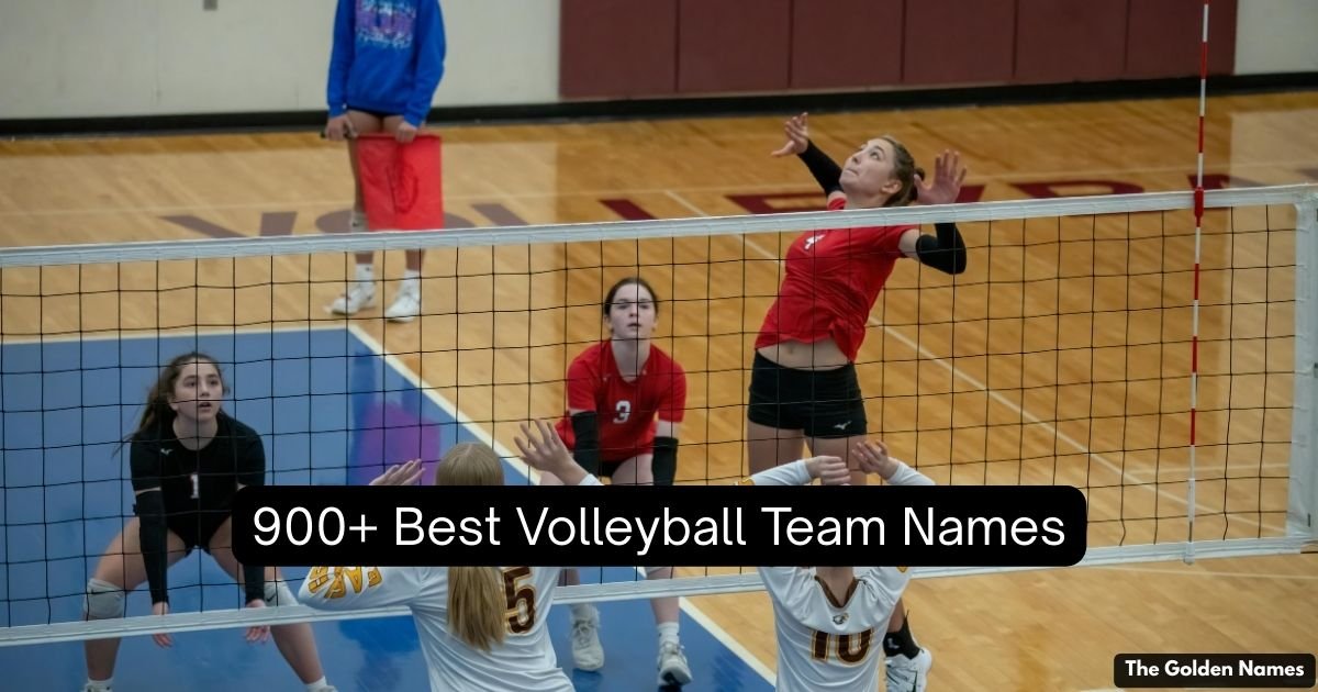Volleyball Team Names