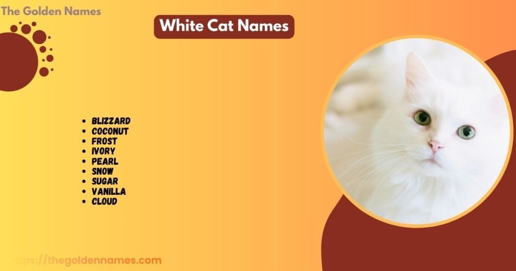 White Cat Names