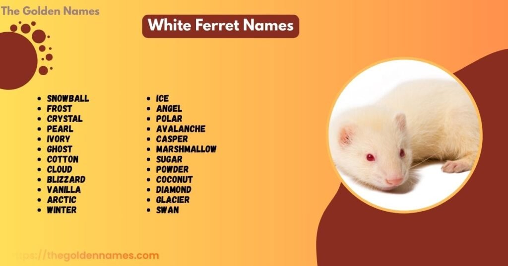 White Ferret Names