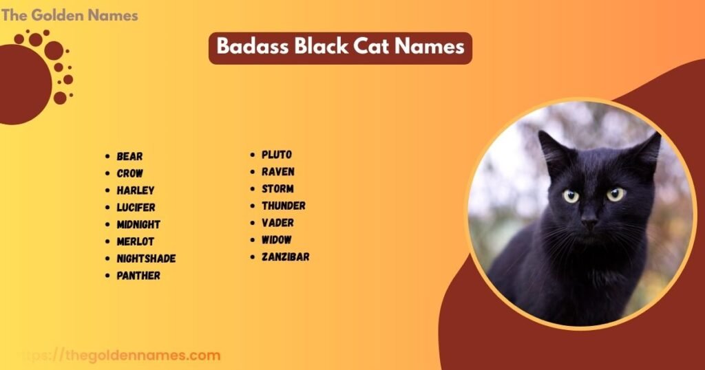 Badass Black Cat Names
