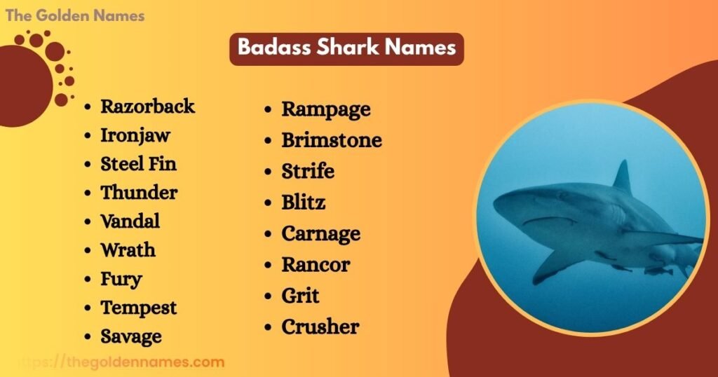 Badass Shark Names