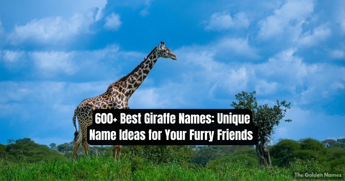 Best Giraffe Names
