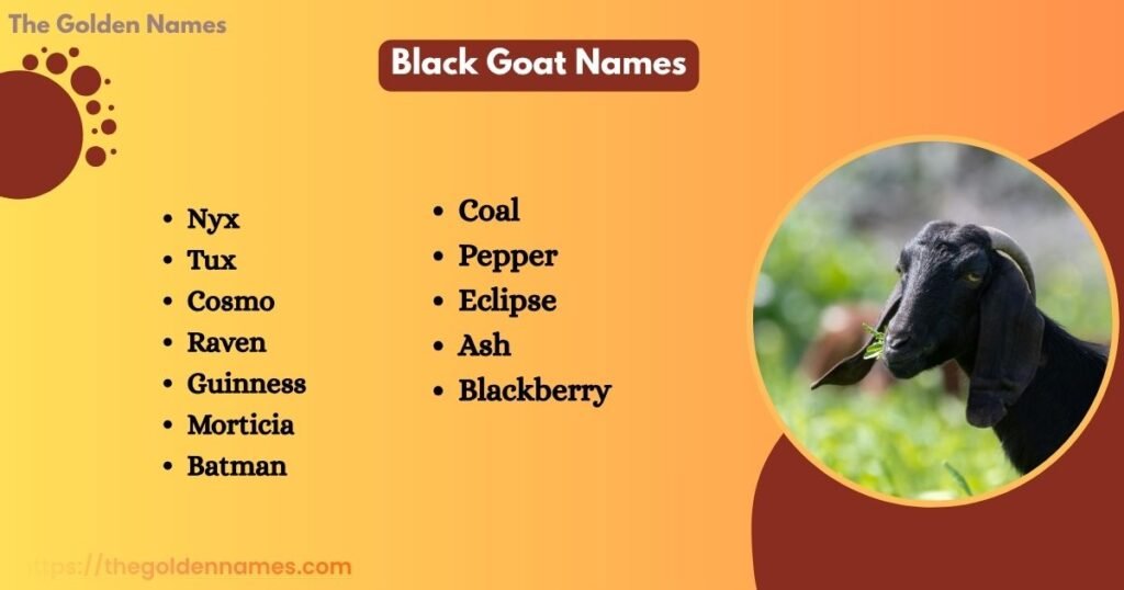 Black Goat Names