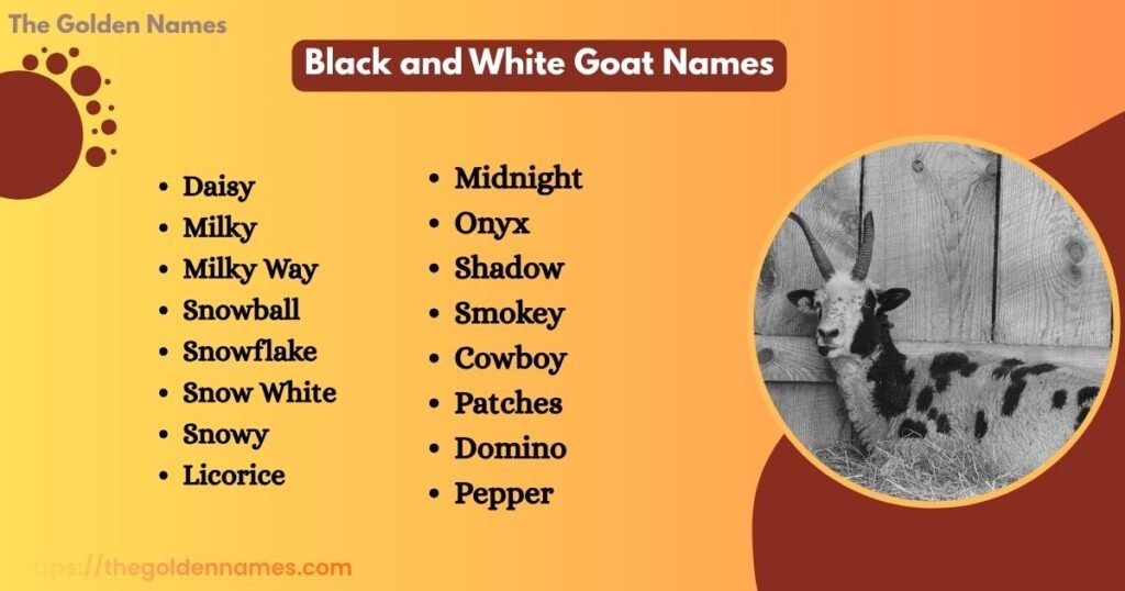 Black and White Goat Names