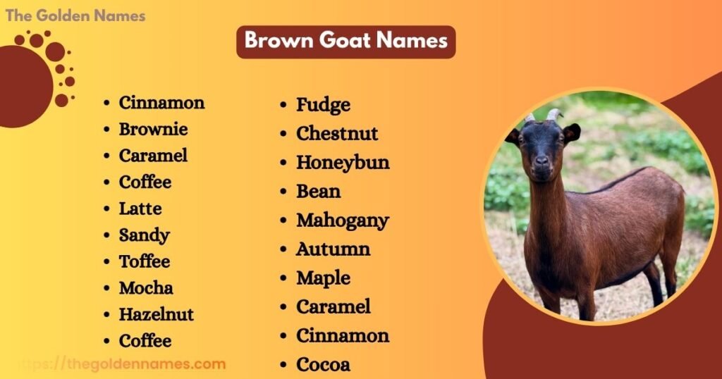 Brown Goat Names