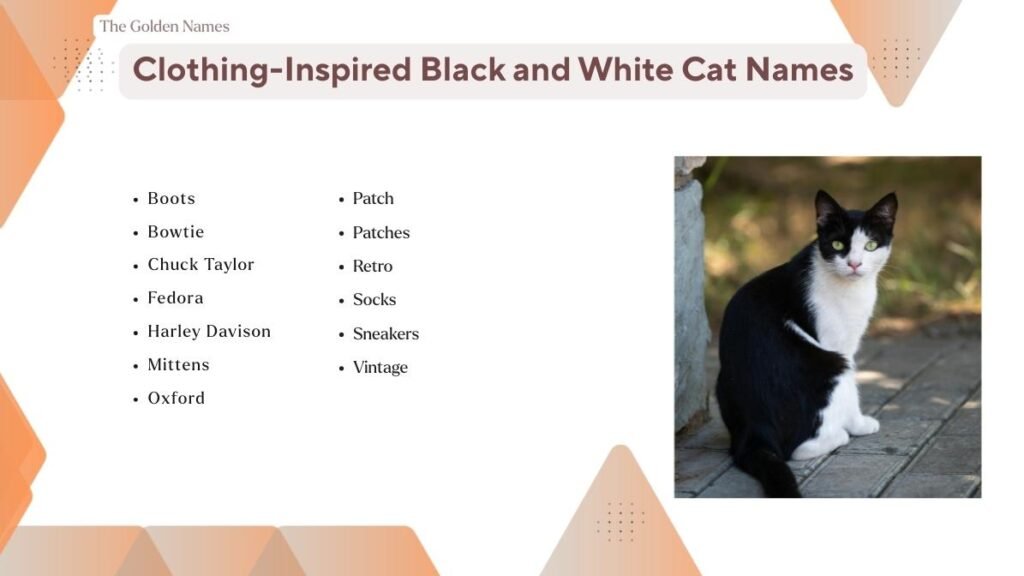 Clothing-Inspired Black and White Cat Names