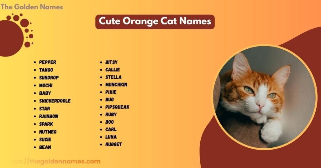 Cute Orange Cat Names