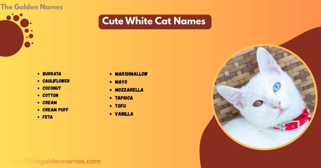 Cute White Cat Names