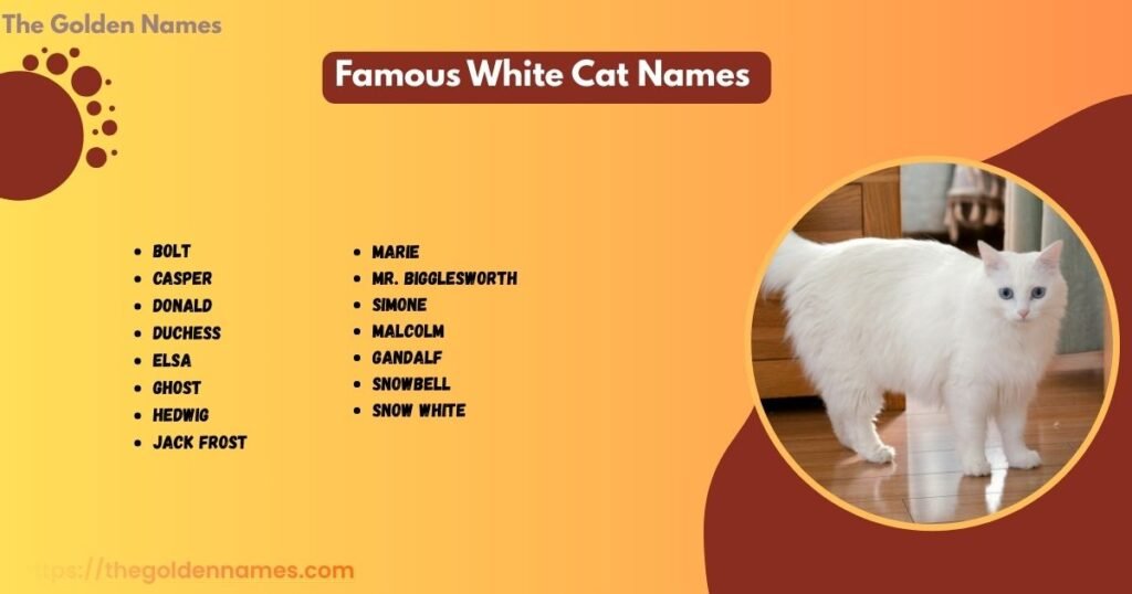 Famous White Cat Names