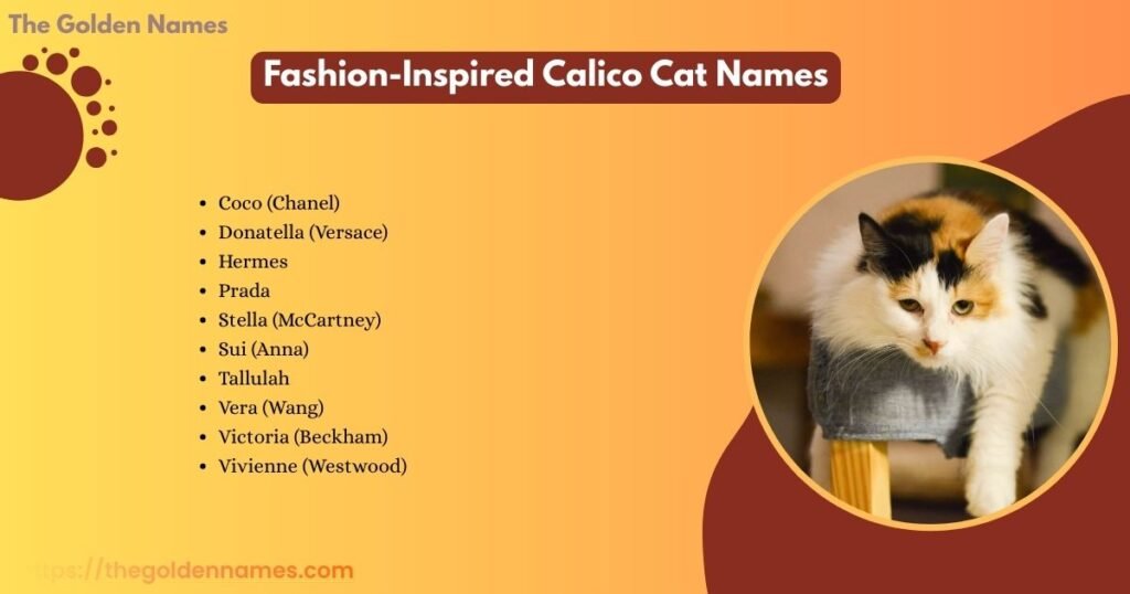 Fashion-Inspired Calico Cat Names