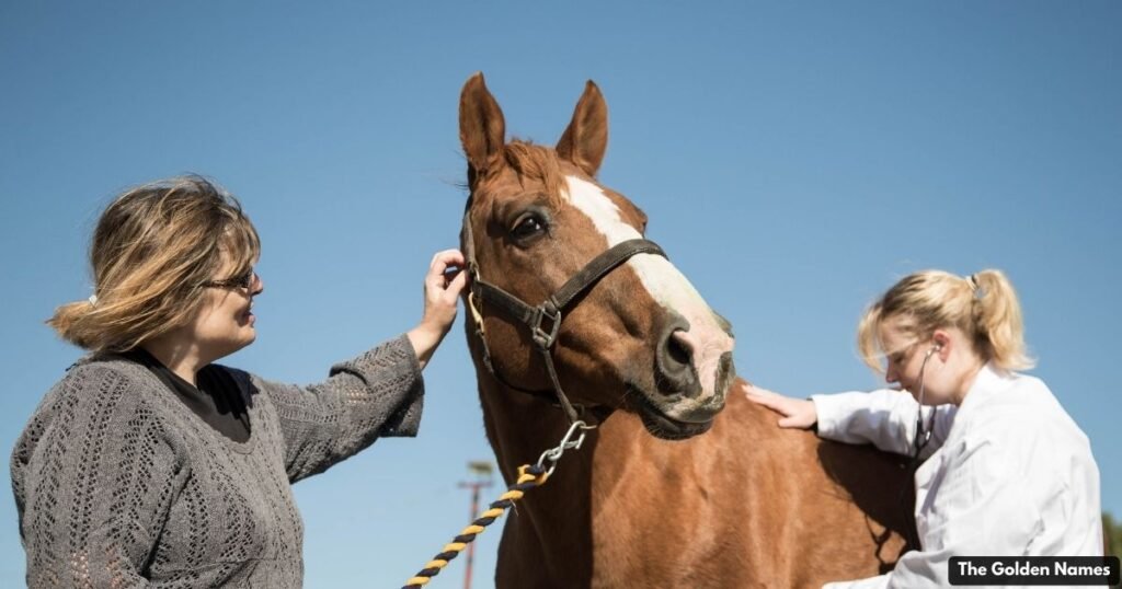 Female Horse Names
