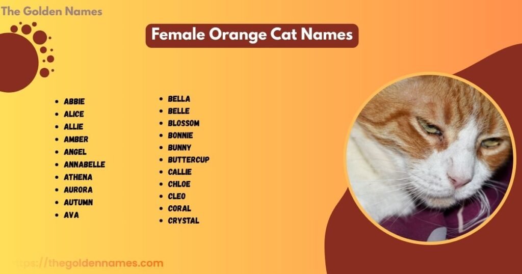 Female Orange Cat Names