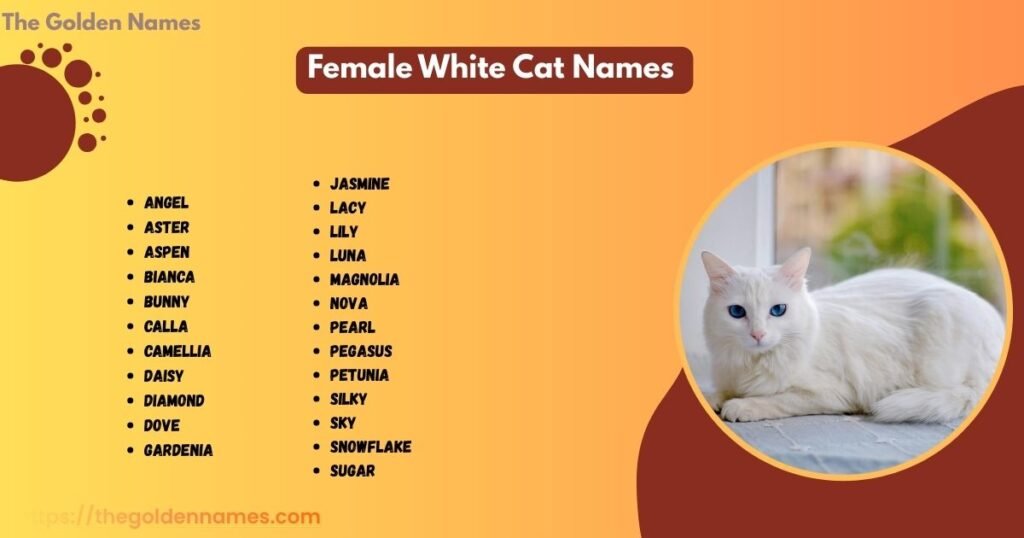 Female White Cat Names