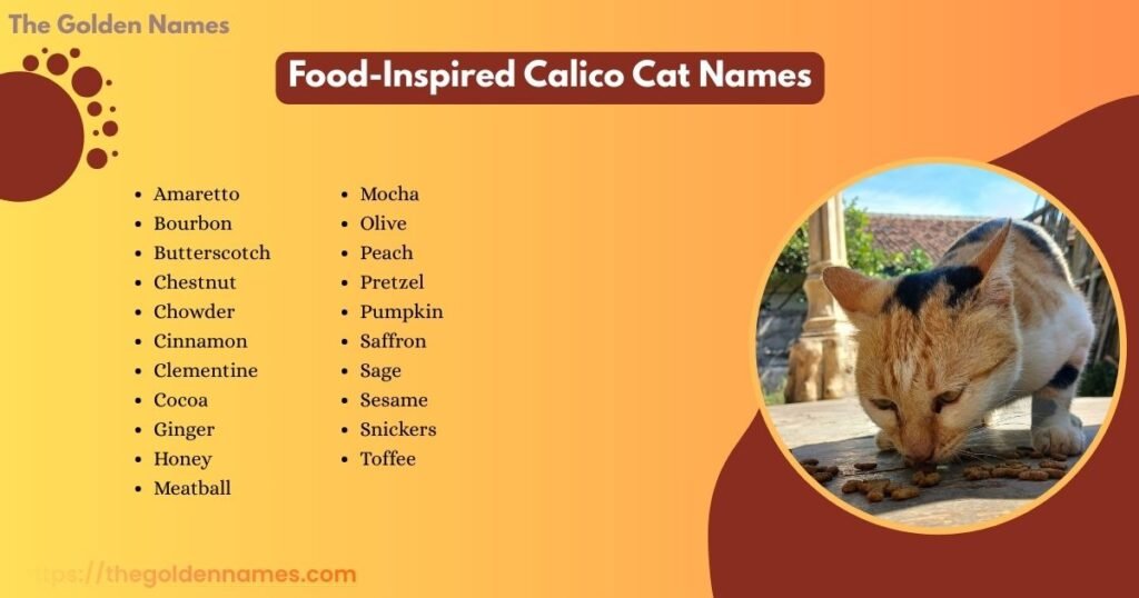 Food-Inspired Calico Cat Names