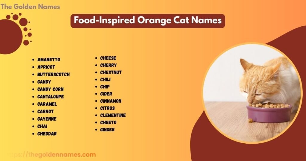 Food-Inspired Orange Cat Names