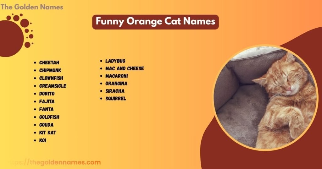 Funny Orange Cat Names