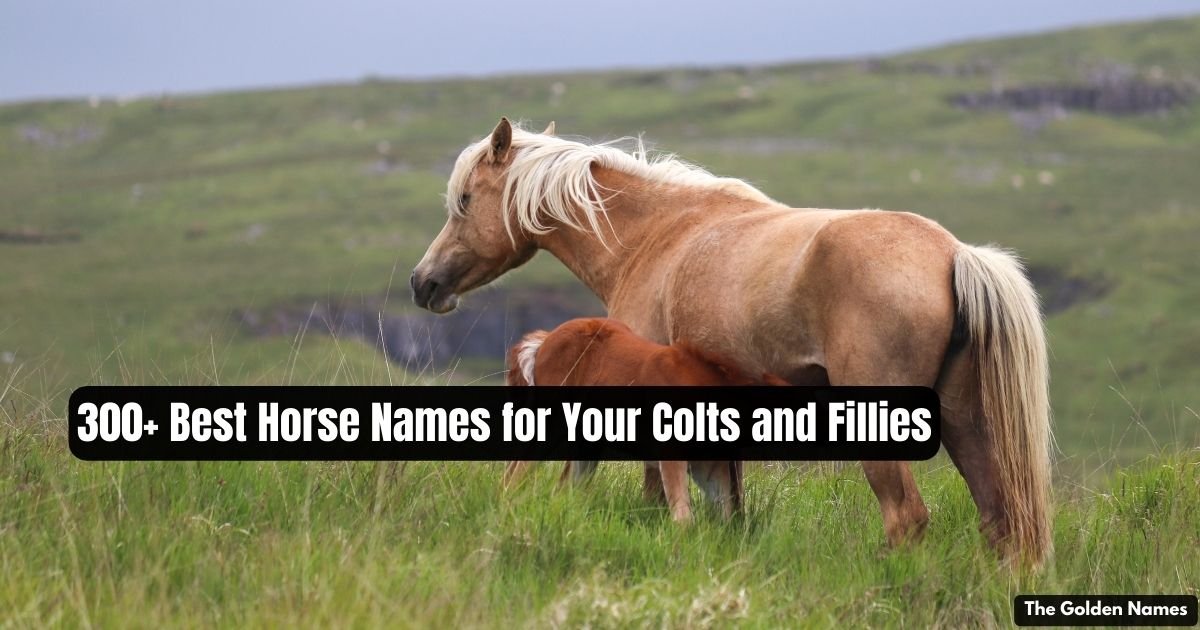 Horse Names