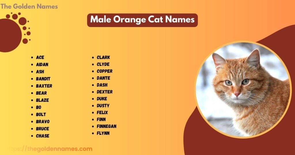 Male Orange Cat Names