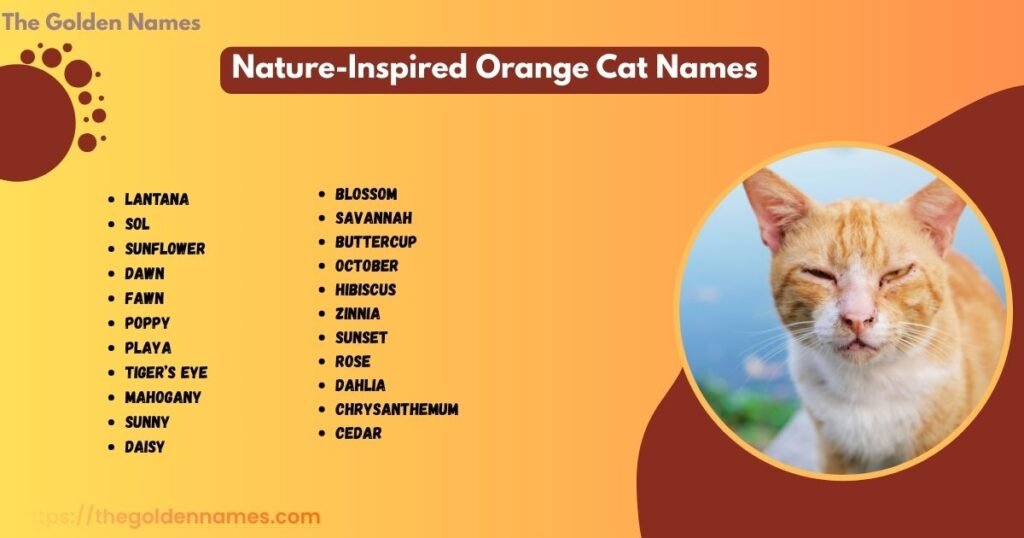 Nature-Inspired Orange Cat Names