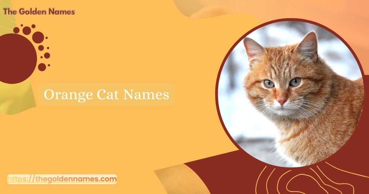 Orange Cat Names