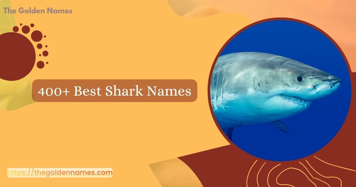 Shark Names