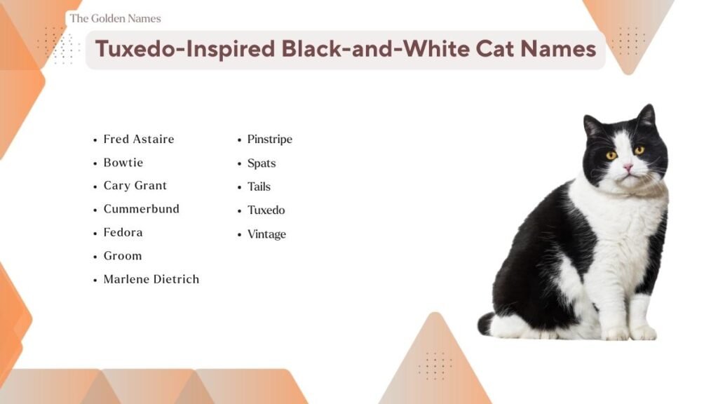 Tuxedo-Inspired Black-and-White Cat Names