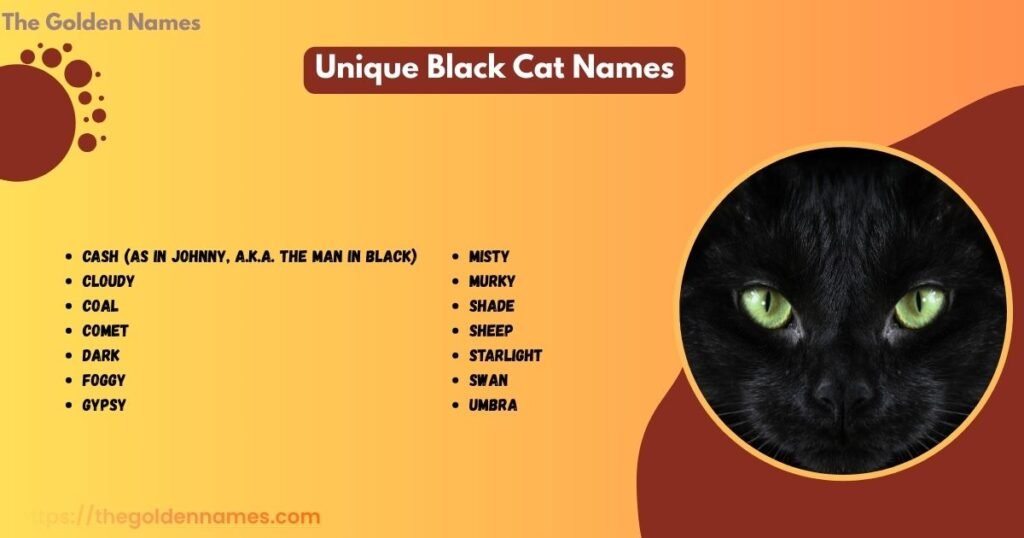 Unique Black Cat Names