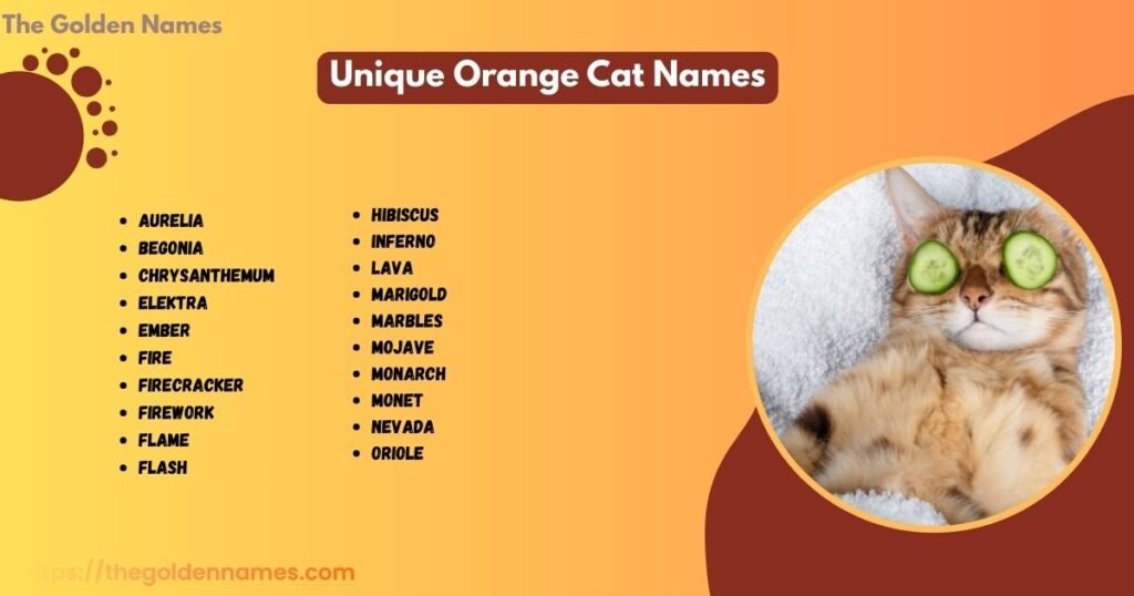 Unique Orange Cat Names