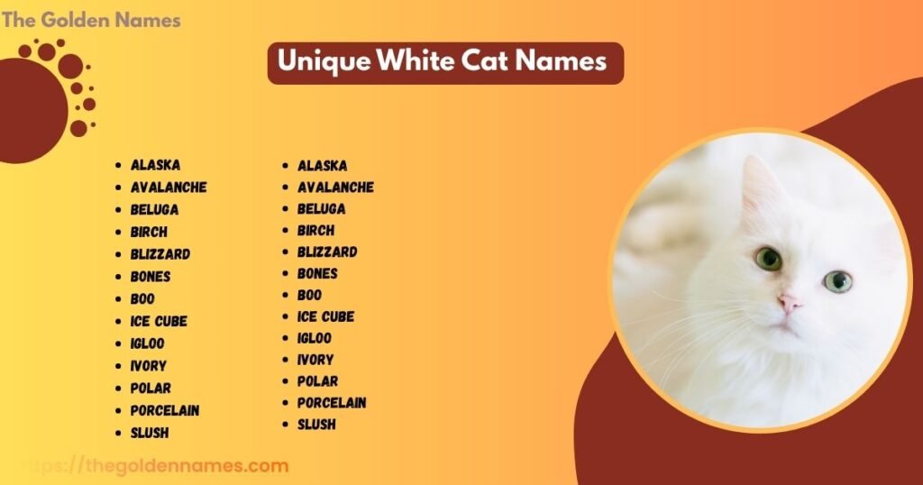 Unique White Cat Names