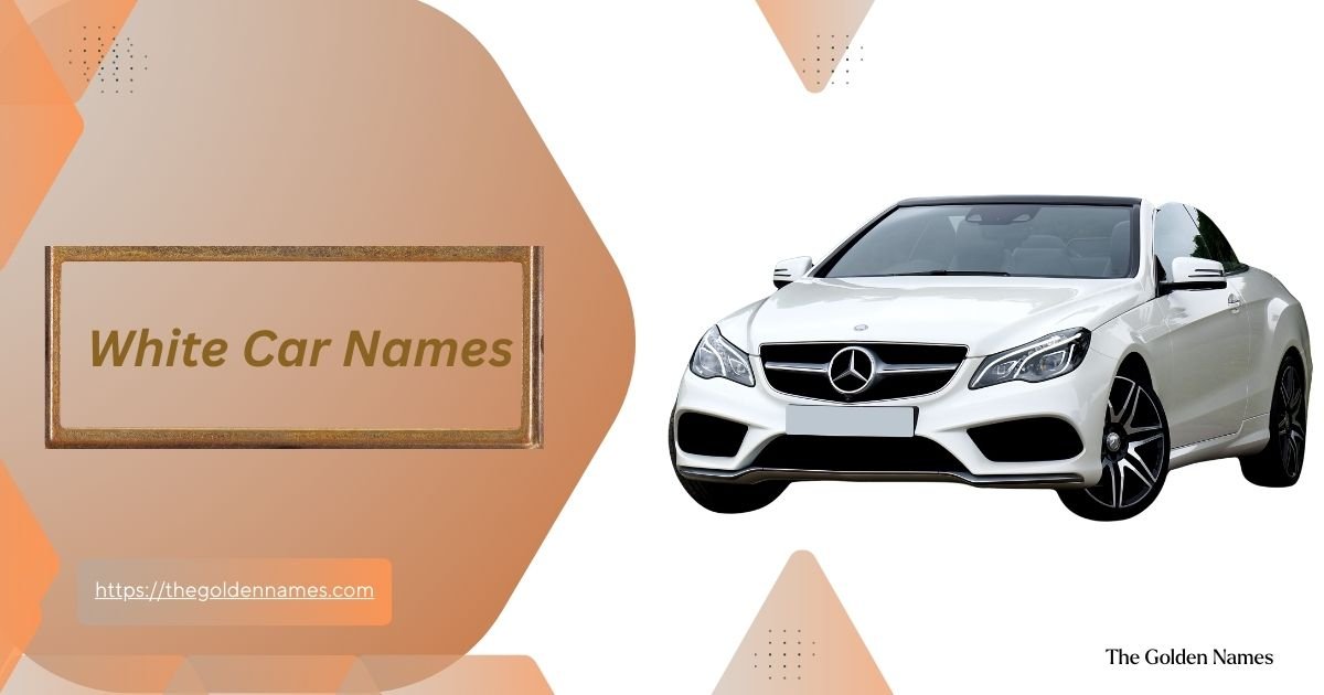 White Car Names