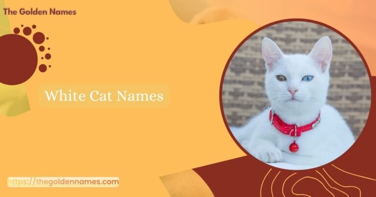 White Cat Names