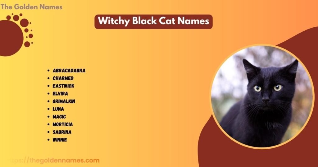Witchy Black Cat Names