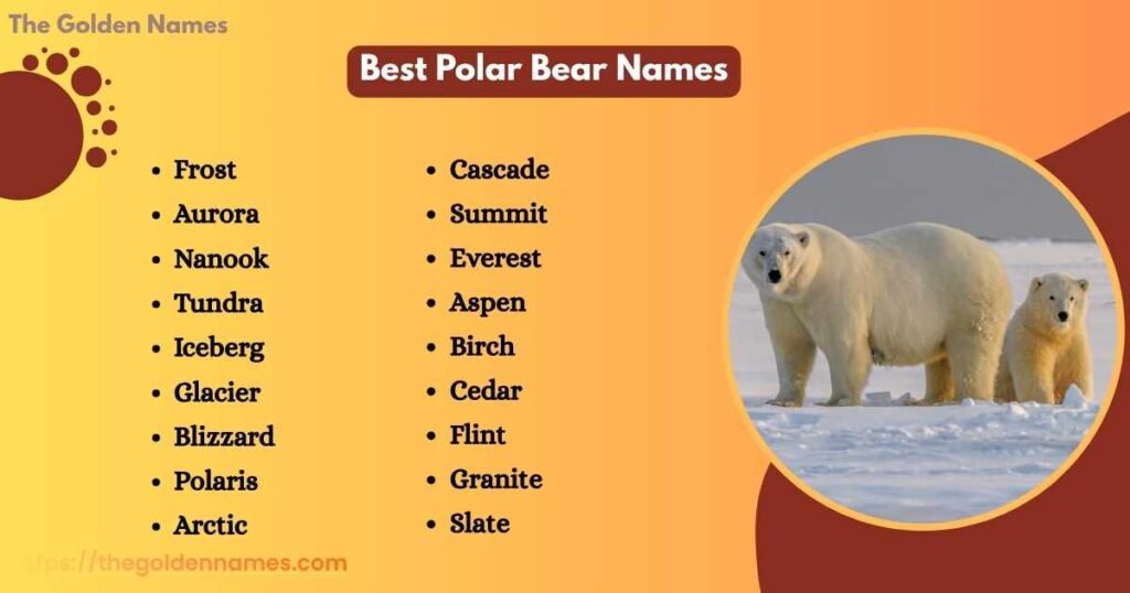 Best Polar Bear Names