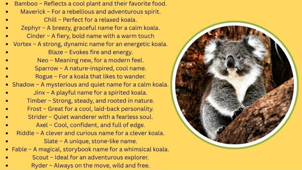 Cool Koala Names
