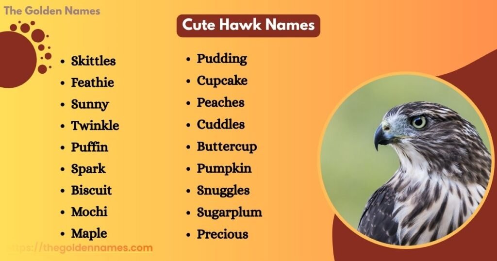 Cute Hawk Names