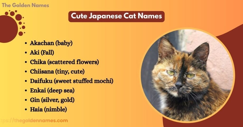 Cute Japanese Cat Names