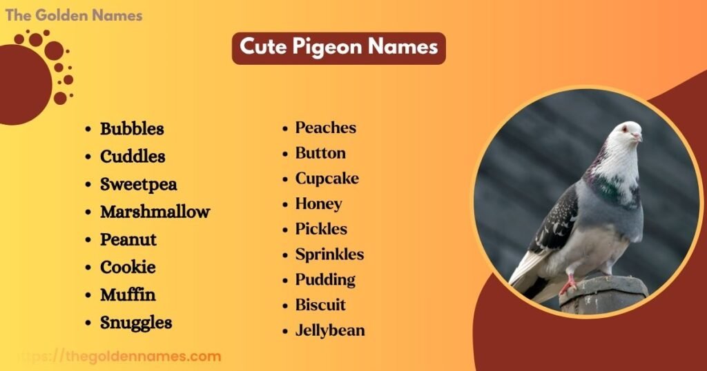 Cute Pigeon Names